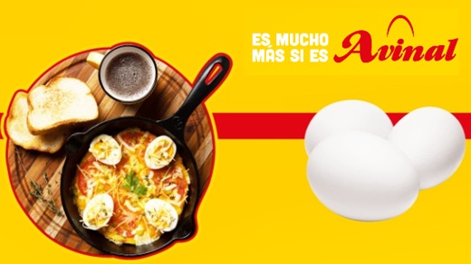 En el 2025, la avícola antioqueña Avinal invertirá $20.000 millones en ...